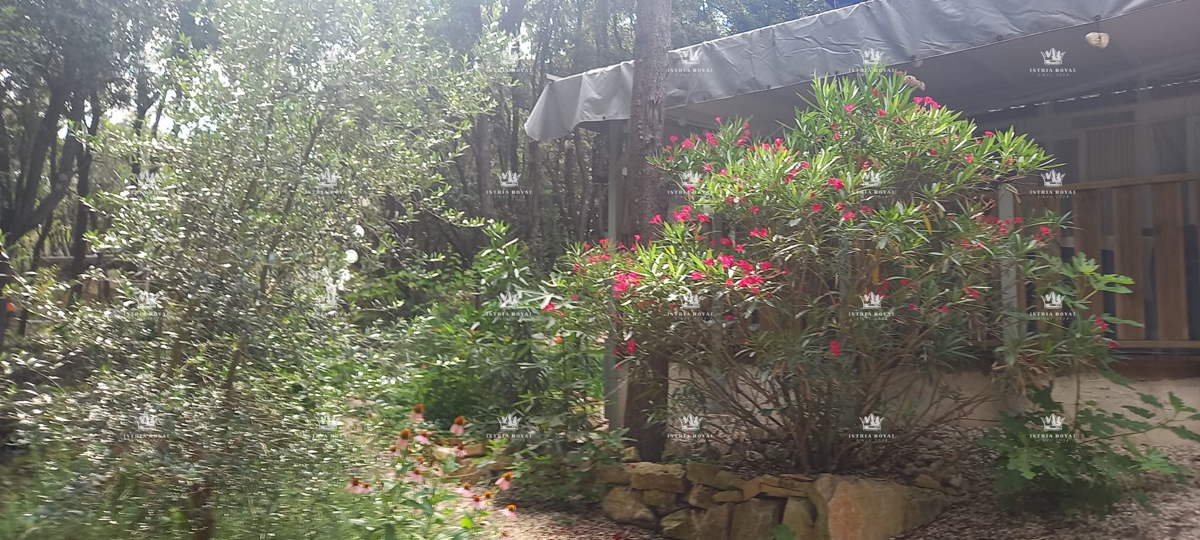 Dve urejeni parceli z mobilnimi hišicami – 30 sekund od plaže – vrhunska naložba v Istri